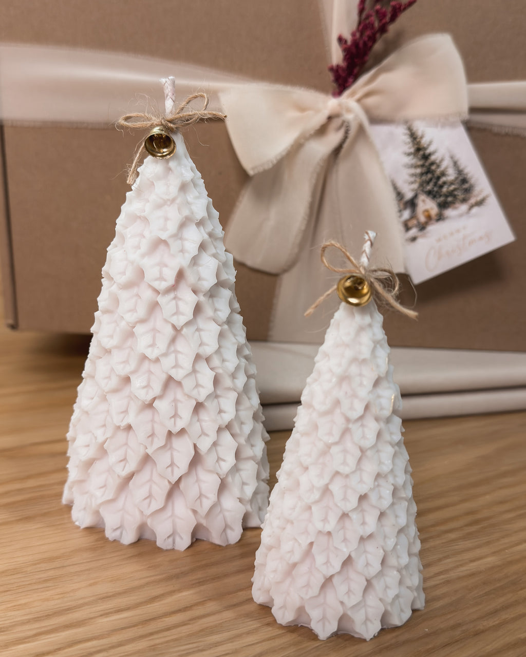 COFFRET | PINHEIROS DE NATAL