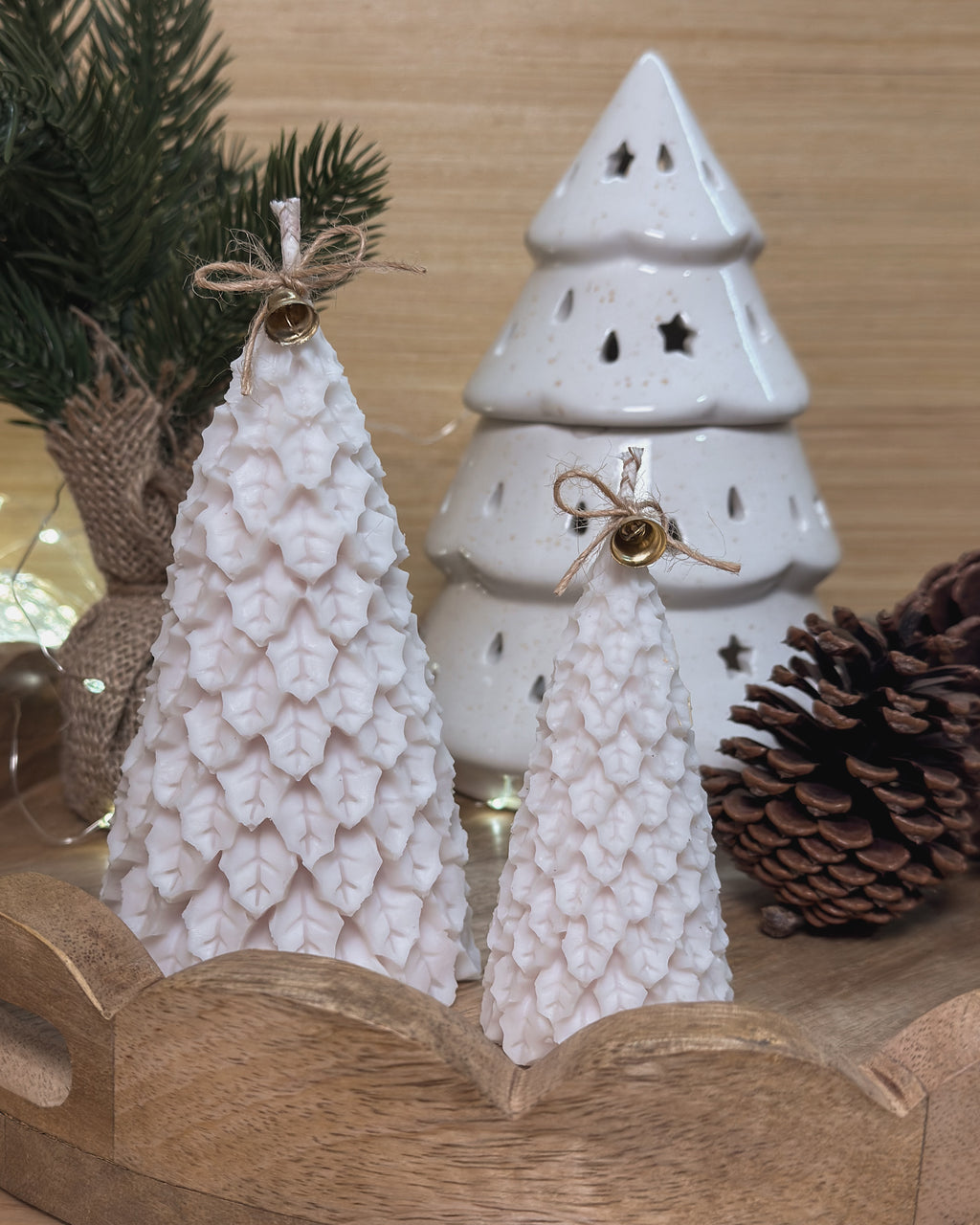 COFFRET | PINHEIROS DE NATAL