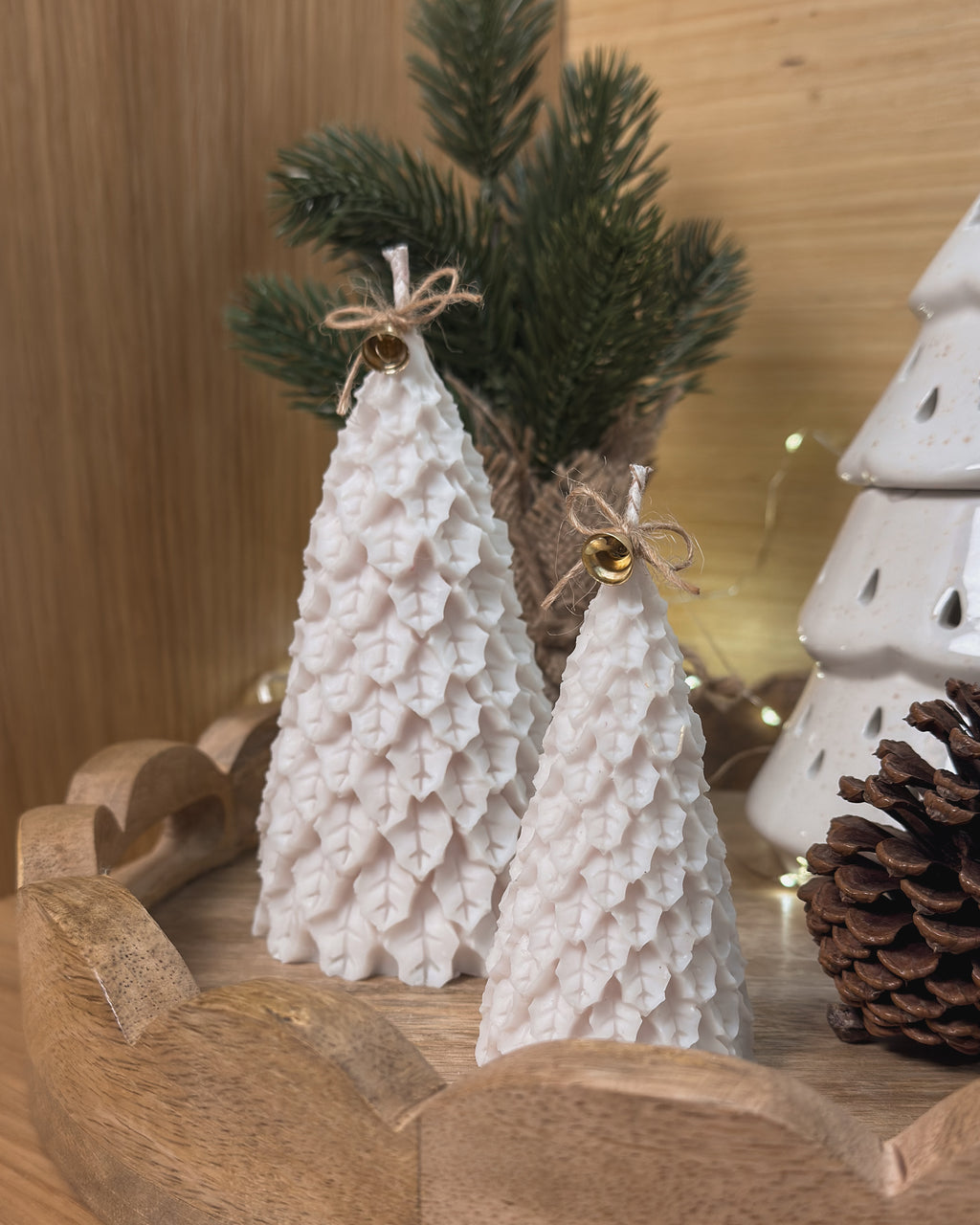 COFFRET | PINHEIROS DE NATAL