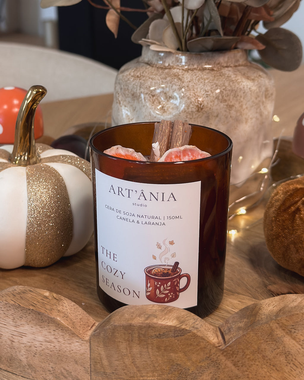 VELA THE COZY SEASON